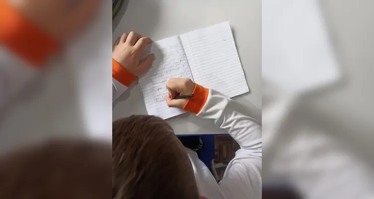 Confira a série de registros do trabalho.