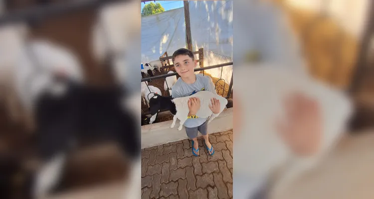Confira os registros dos alunos dentro do 'Desafio Unimed PG'.
