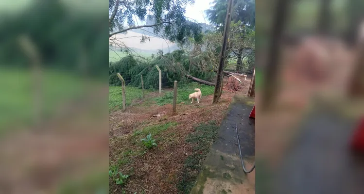 Região do Fundão registra estragos após evento climático adverso.