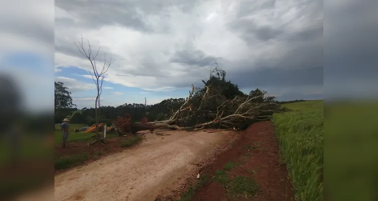 Região do Fundão registra estragos após evento climático adverso.