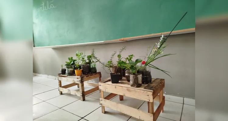Confira a série de registros do amplo trabalho dentro e fora da sala de aula.