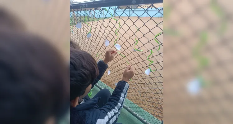 Veja os registros do trabalho.