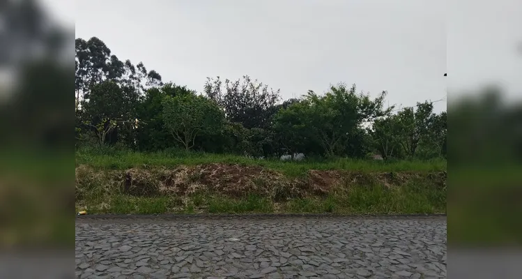Confira a série de registros do trabalho dentro e fora da sala de aula.