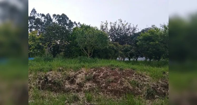 Confira a série de registros do trabalho dentro e fora da sala de aula.