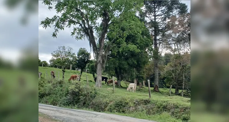 Confira a série de registros do trabalho dentro e fora da sala de aula.