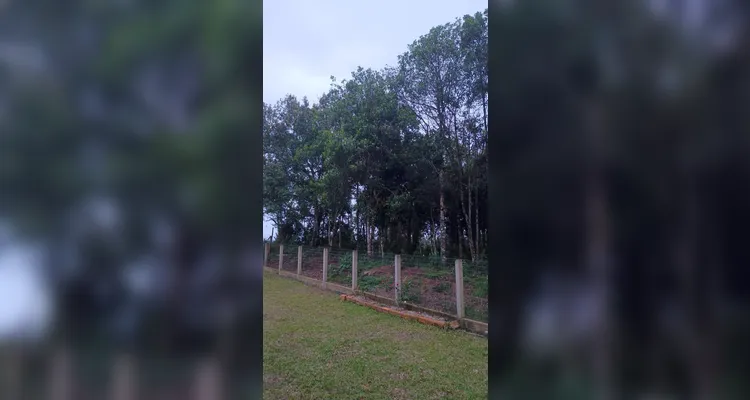 Confira a série de registros do trabalho dentro e fora da sala de aula.