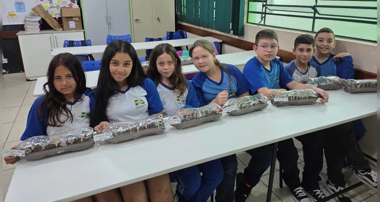 Confira a série de registros do amplo trabalho realizado pelos estudantes.