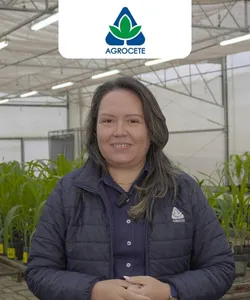 Lays Costa - Coordenadora de P&D da Agrocete
