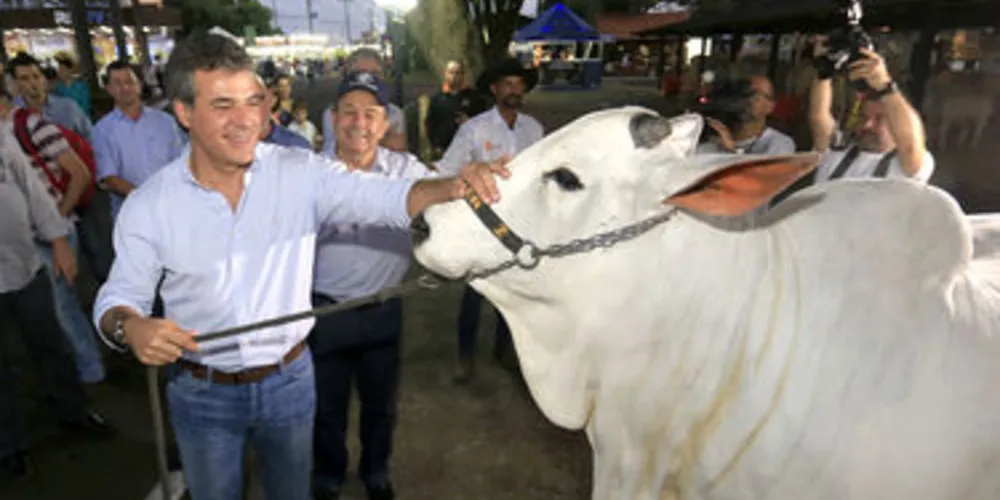 Imagem ilustrativa da imagem Richa enaltece agronegócio e a economia do Paraná
