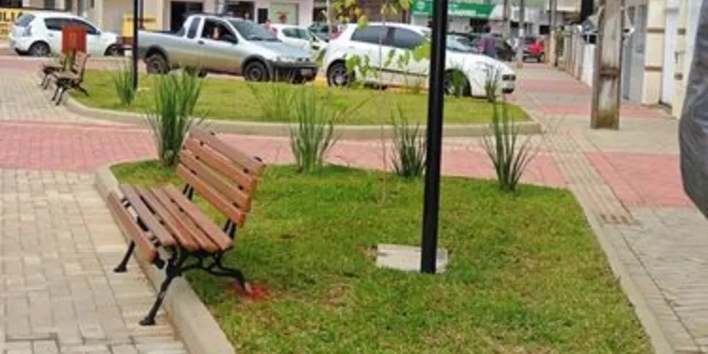 A Praça Vereador Antônio Schimanski conta com 905,41 m²