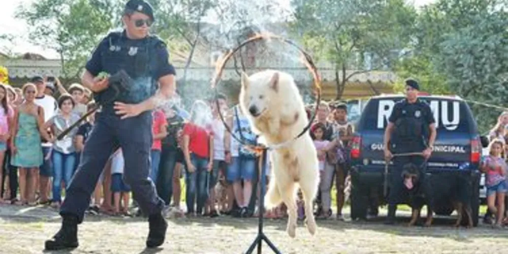 Mais de 10 mil pessoas compareceram ao evento que reúne donos e pets
