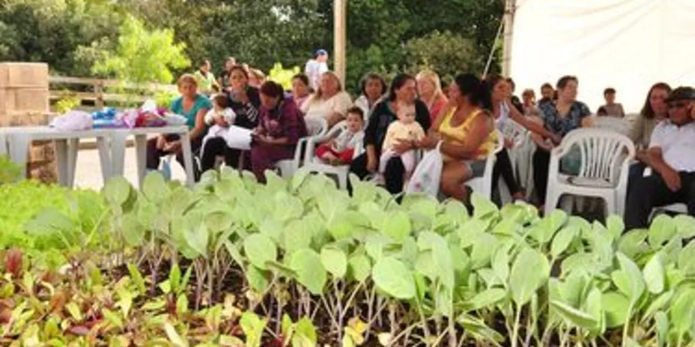 A comunidade recebeu mudas de cenoura, couve, beterraba, alface, goiaba branca e vermelha, araçá e ariticum