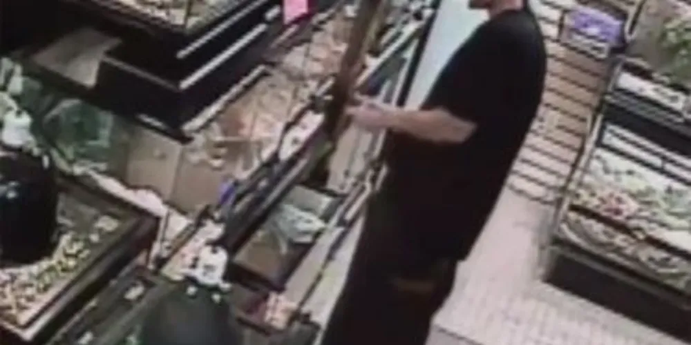 Homem roubou cobra em um pet shop e a escondeu na calça