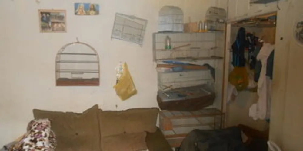 Sete animais eram mantidos em cativeiro