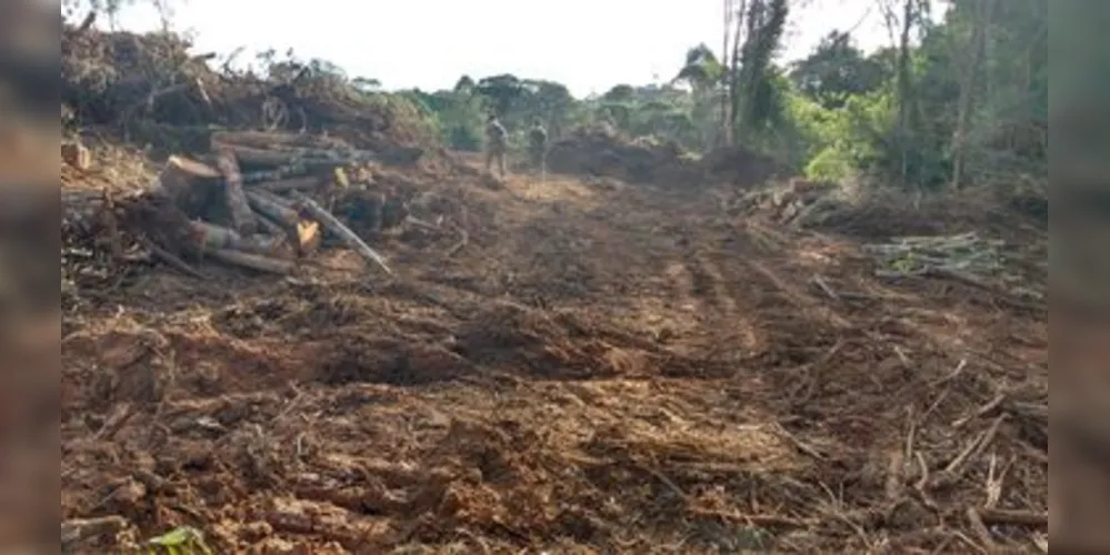 Área de destruição é de 0,25 hectare