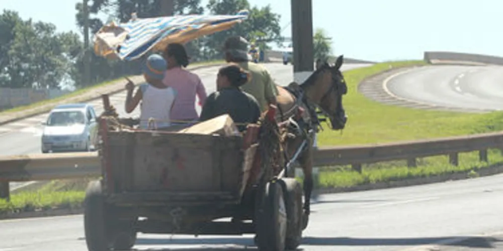 Imagem ilustrativa da imagem Vereador quer proibir carroças na área urbana de PG
