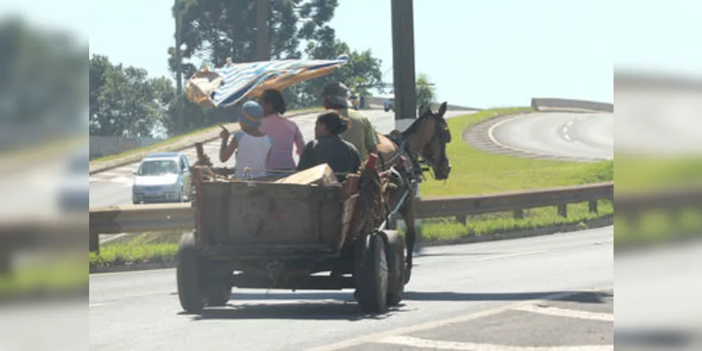 Imagem ilustrativa da imagem Vereador quer proibir carroças na área urbana de PG