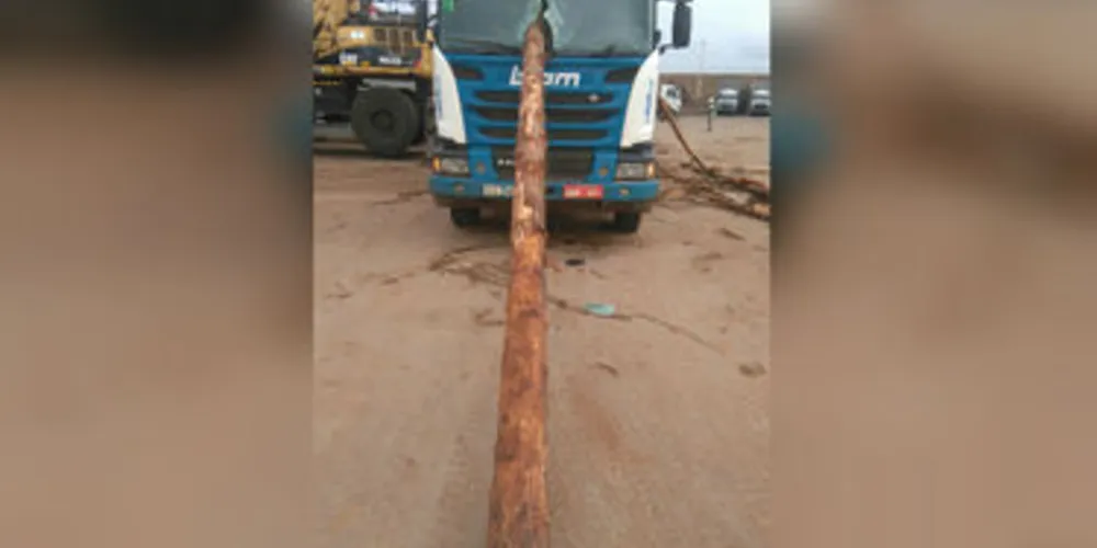 Tora perfurou vidro do caminhão e por pouco não acertou motorista