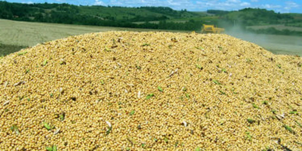 Imagem ilustrativa da imagem Agronegócio representa 80% das receitas com exportações no PR