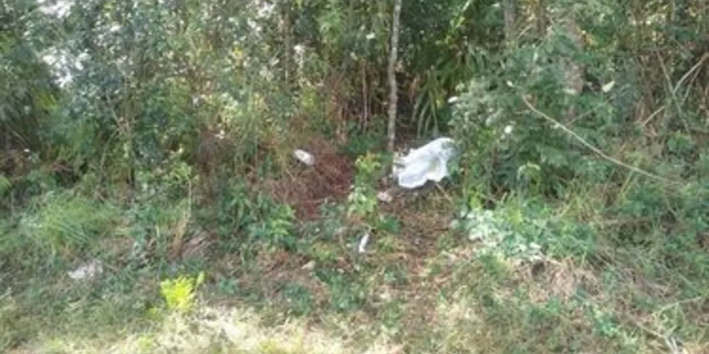 Imagem ilustrativa da imagem Mulher é encontrada morta no PR sem sinais de violência