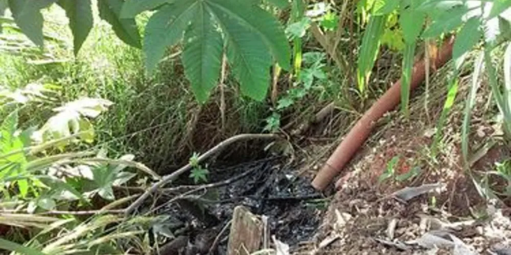 Irregularidades foram encontradas em terreno da Prefeitura de Piraí do Sul