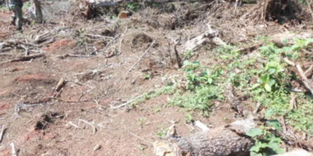 Proprietários de terrenos foram notificados pela Polícia Ambiental
