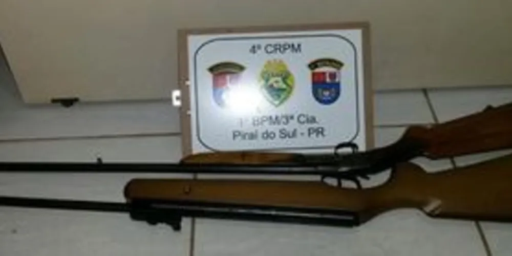 Duas armas foram apreendidas em Piraí do Sul
