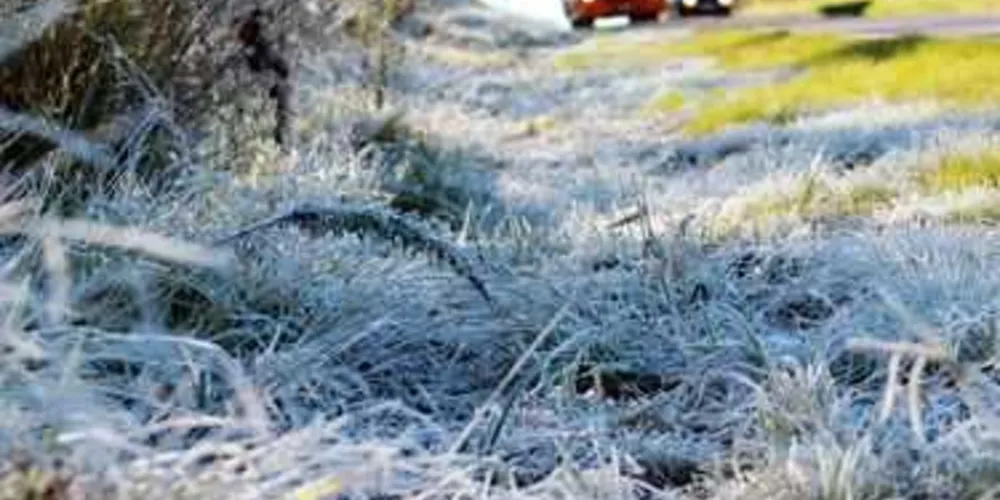 Temperatura mínima em PG foi de -0,3ºC