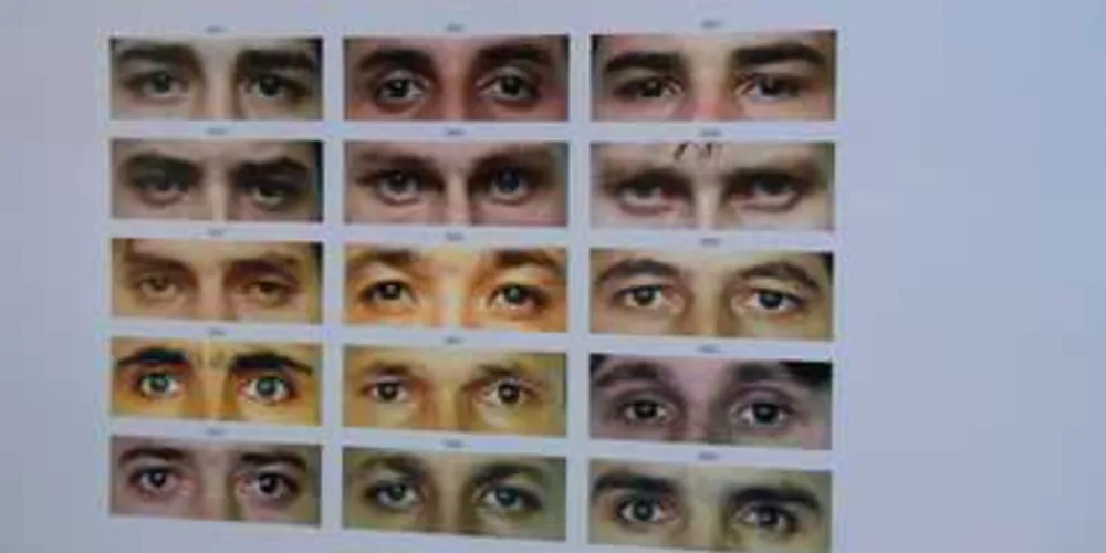 Programa de buscas com 78 mil fotos usa retrato falado para identificar criminosos.