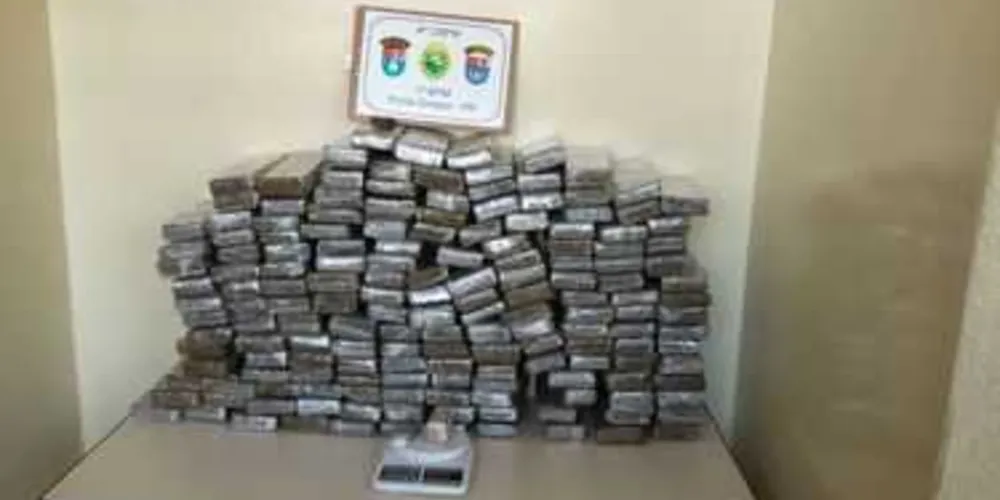 Imagem ilustrativa da imagem Polícia apreende quase 100 kg de maconha