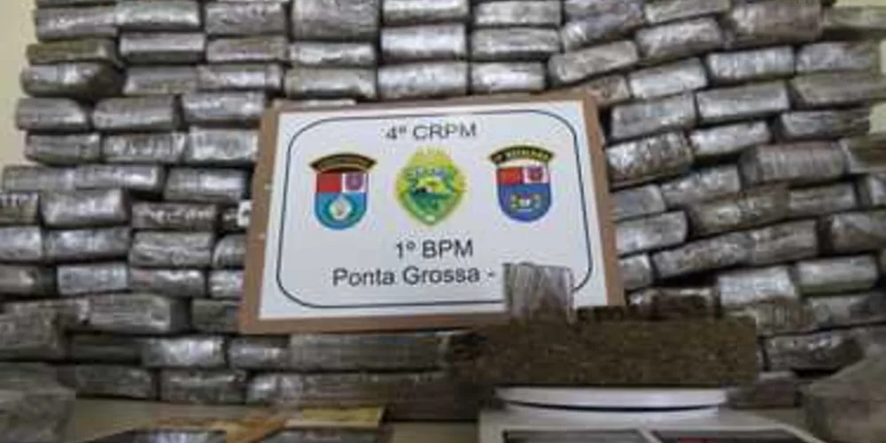 Imagem ilustrativa da imagem PM confirma 98,5 kg de maconha apreendida
