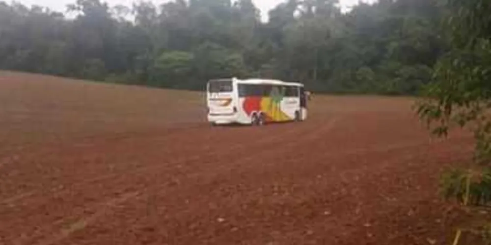 Imagem ilustrativa da imagem Quadrilha assalta e abandona ônibus em Palmeira