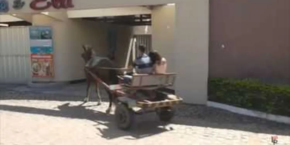 Imagem ilustrativa da imagem Foto de casal indo a motel de carroça repercute nas redes