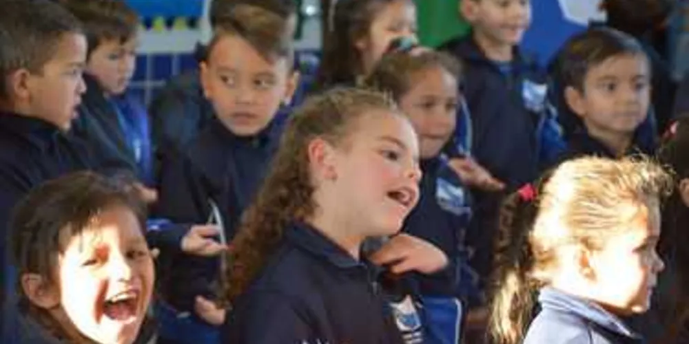 Imagem ilustrativa da imagem PG investe R$ 65 milhões em escolas e CMEIs