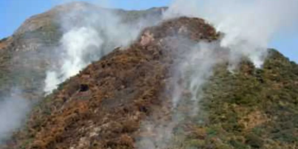Imagem ilustrativa da imagem Geada e tempo seco aumentam riscos de incêndio