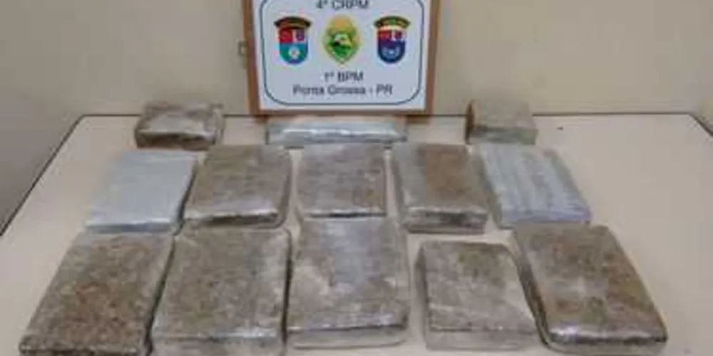 Mochila abandonada com 9 kg de droga foi apreendida na Rodoviária de PG