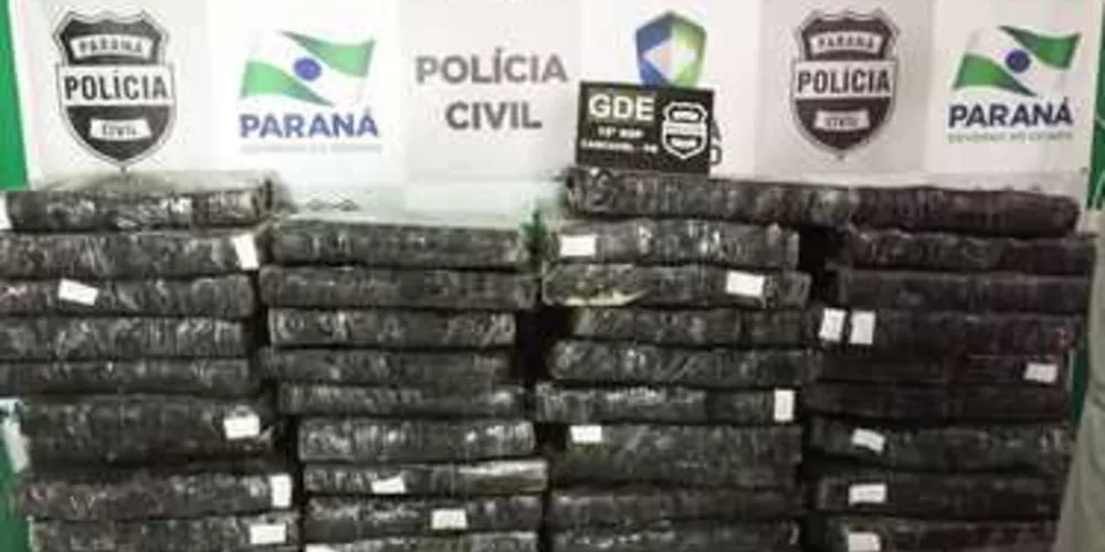 Imagem ilustrativa da imagem Polícia apreende 1,4 tonelada de maconha no PR