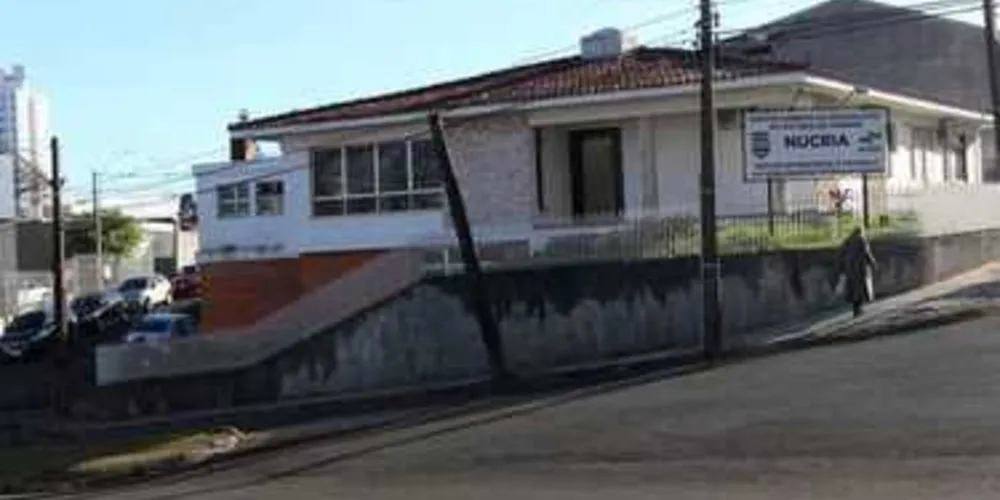 Investigação foi conduzida pelo Nucria de PG