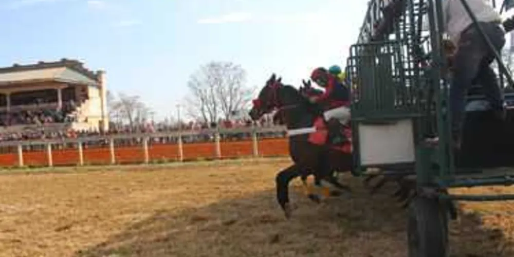 Hipódromo ficou movimentado com o feriado