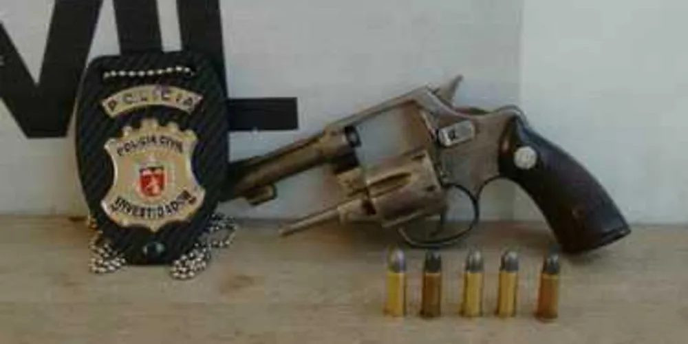 Imagem ilustrativa da imagem Polícia Civil detém homem com revólver em Castro