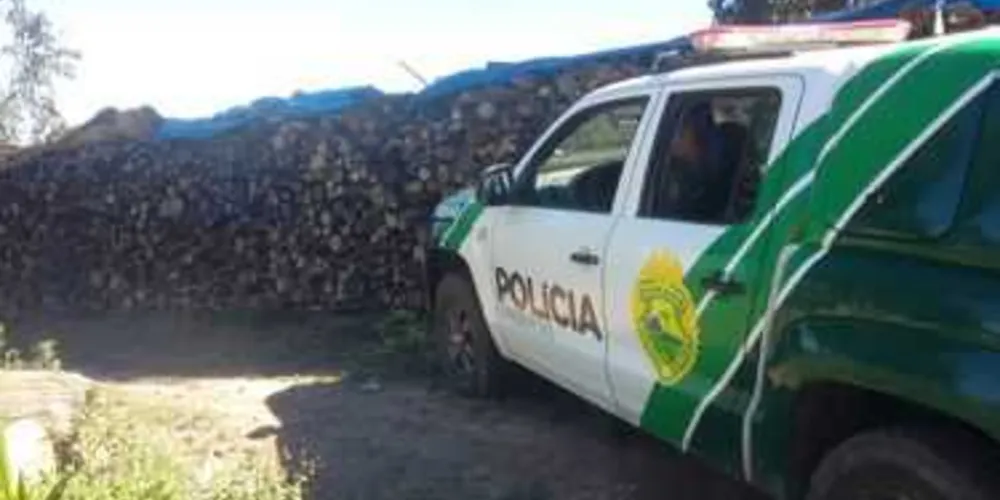 Imagem ilustrativa da imagem Denúncia leva polícia até lenha nativa irregular em Ipiranga