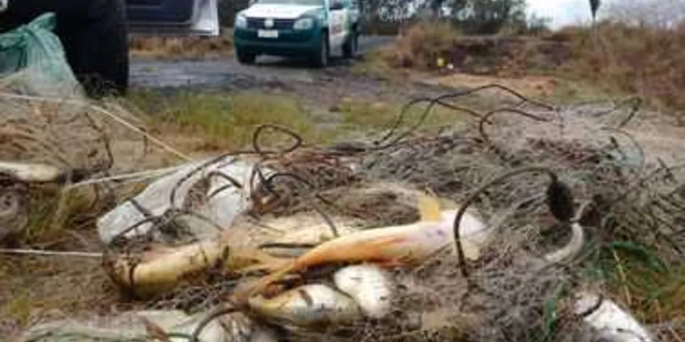 Três pessoas foram presas por pesca predatória