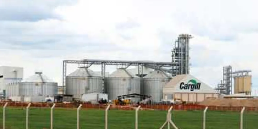 Imagem ilustrativa da imagem Fundação Cargill abre inscrições para apoio de projetos