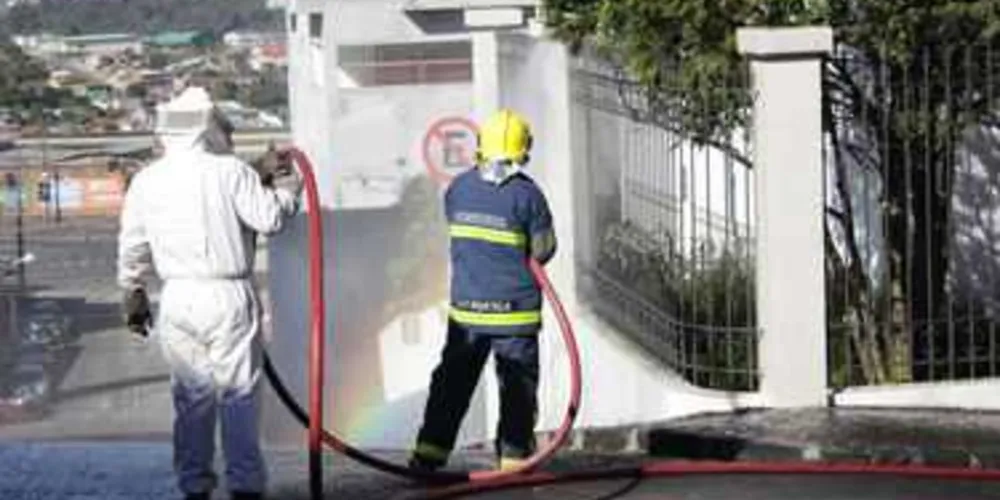 Imagem ilustrativa da imagem Bombeiros são chamados para retirar enxame no Centro
