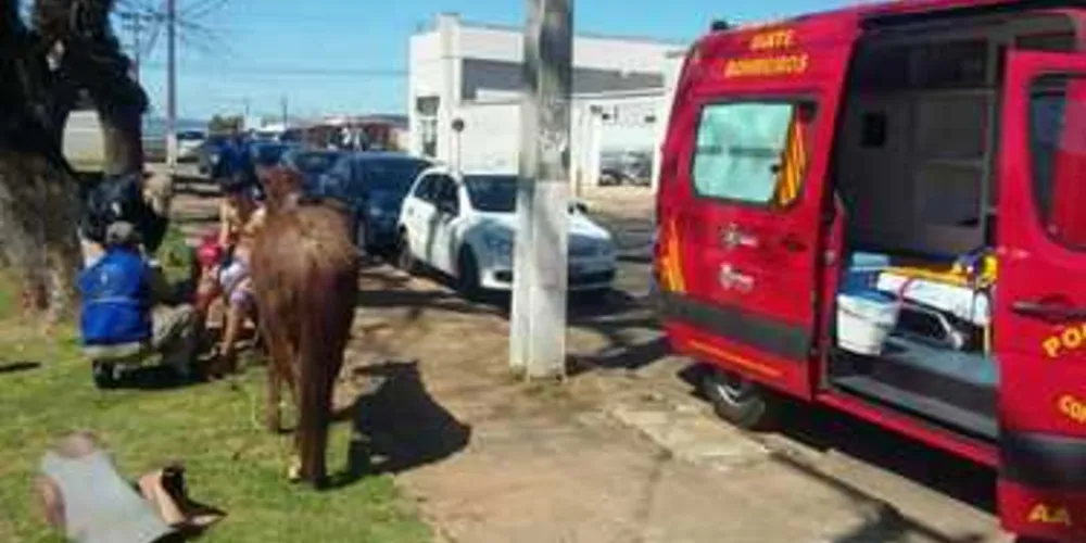 Imagem ilustrativa da imagem Cavalo dispara e fere adolescente em Oficinas