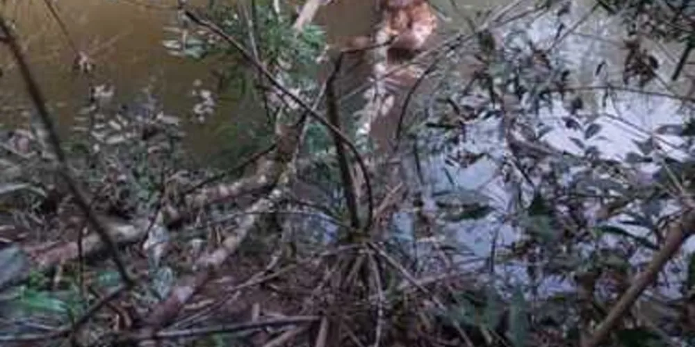 Imagem ilustrativa da imagem Filha ajuda a ocultar corpo do pai para encobrir crime