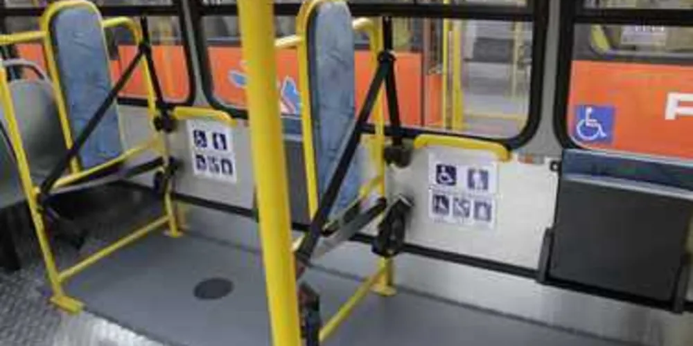 Imagem ilustrativa da imagem VCG amplia a frota com novos ônibus adaptados