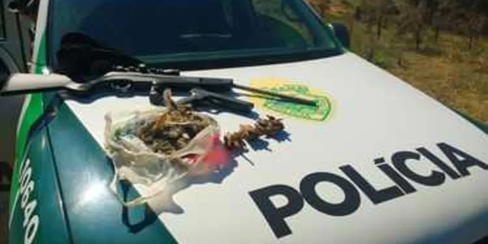 Imagem ilustrativa da imagem Polícia flagra acampamento de caça em Porto Amazonas