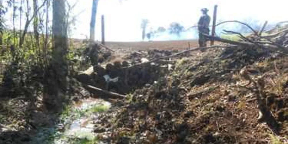 Polícia Ambiental localizou área com desmatamento irregular