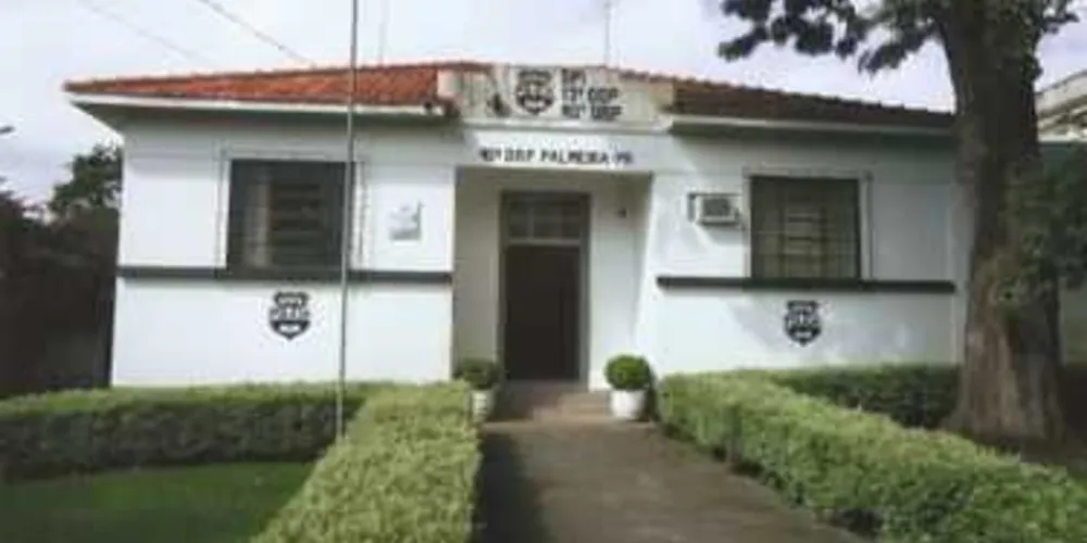 Suspeito e pés de maconha foram levados para a Delegacia de Palmeira